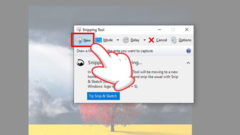 Hướng Dẫn Chụp Màn Hình Windows 10 Với Snipping Tool Chi Tiết Nhất