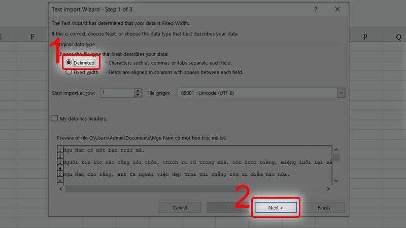 Chọn Delimited trong Excel