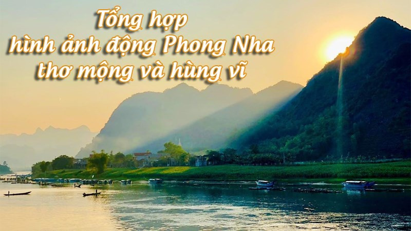 Hình nền động Phong Nha