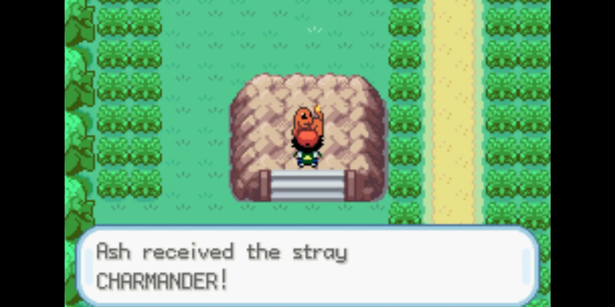 Ash nhận Charmander từ Damian trên Route 5 trong game Pokémon Ash Gray