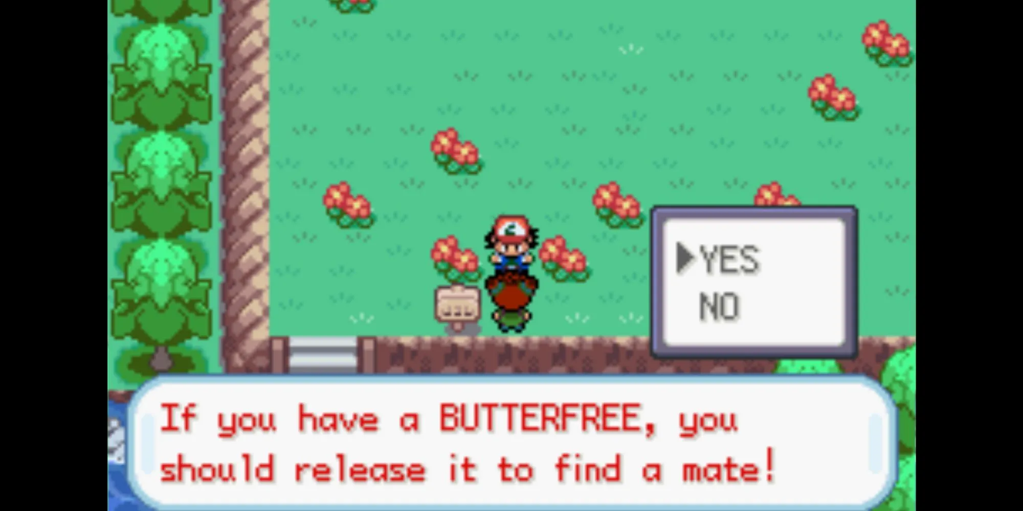 Ash và Pikachu chứng kiến đàn Butterfree bay đi ở Route 7, sự kiện chia tay Butterfree trong Pokémon Ash Gray