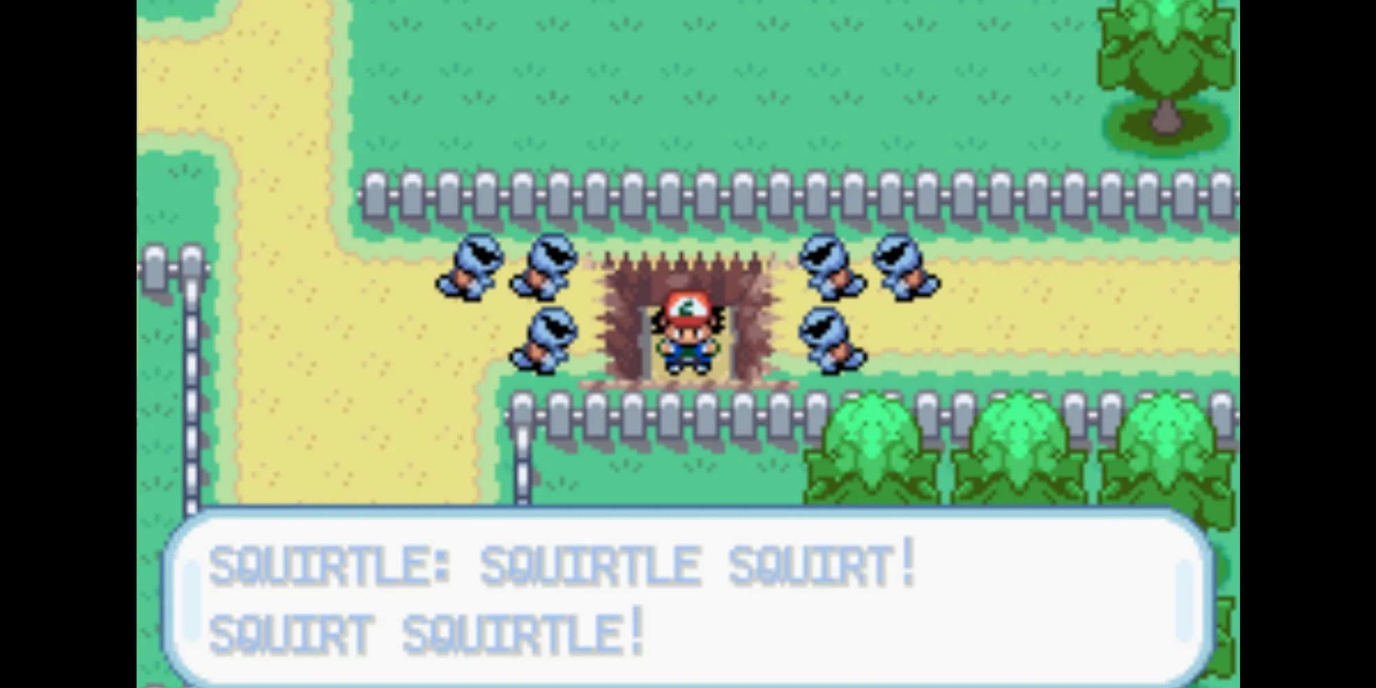 Đội Squirtle đeo kính râm trong Pokémon Ash Gray