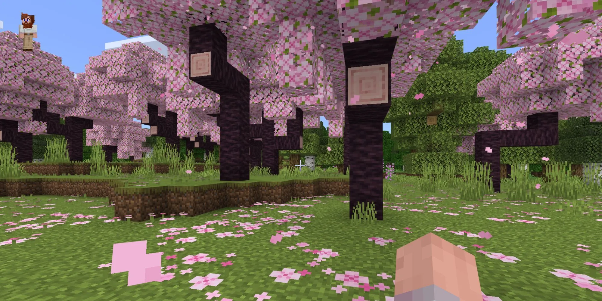 Khu rừng hoa anh đào trong Minecraft với kiến trúc độc đáo