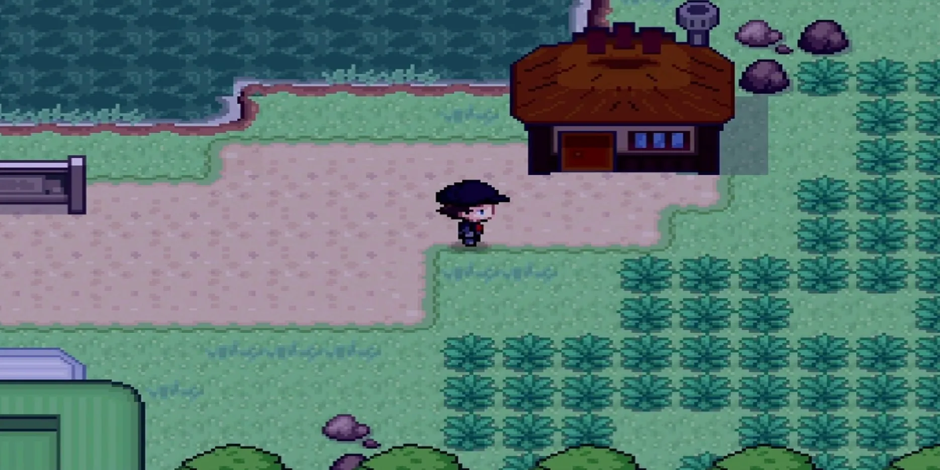 Khu vực Safari Zone ở Fuchsia City ngay sau lối vào trong Pokemon Infinite Fusion