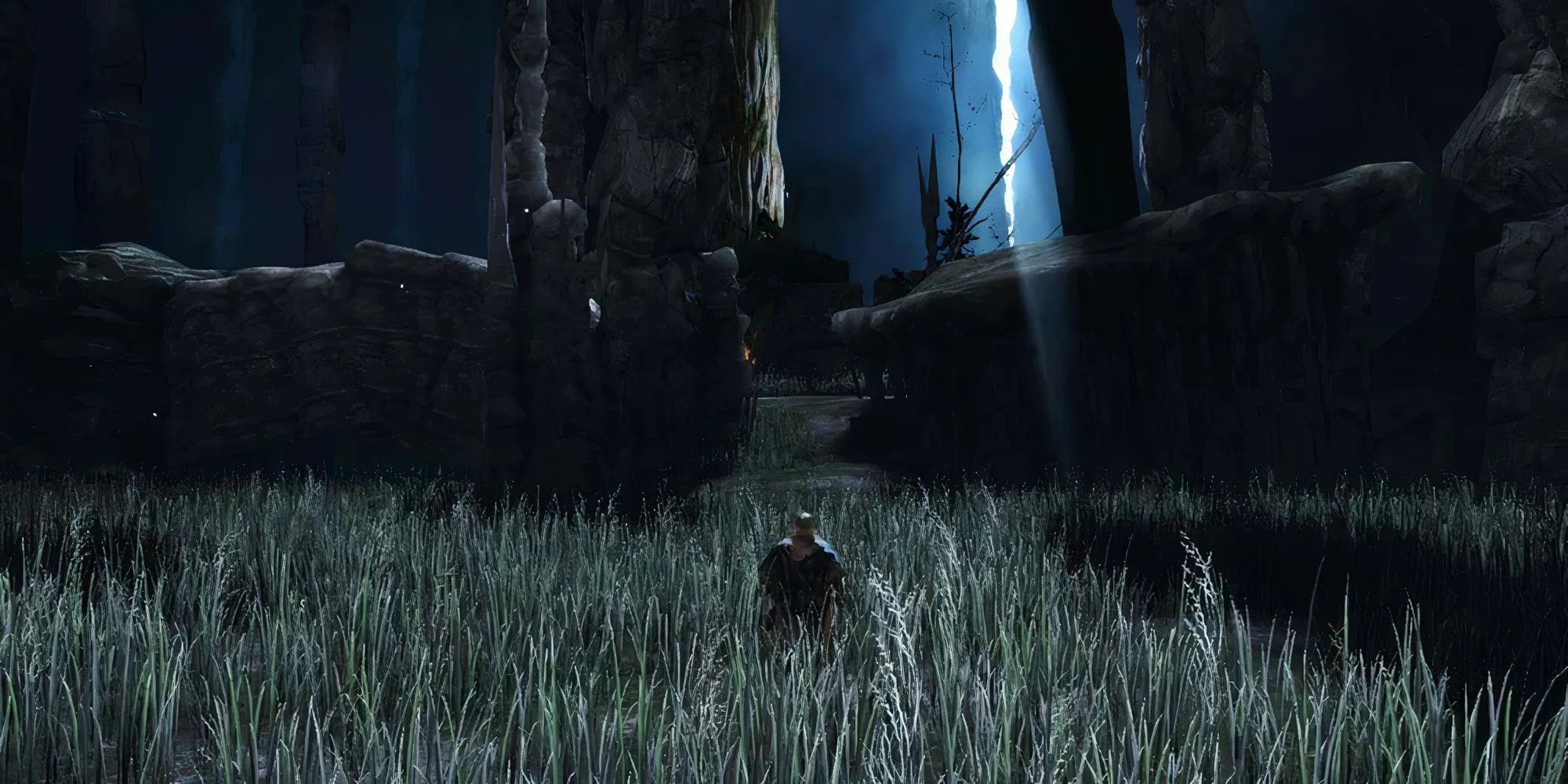 Nhân vật đứng giữa khu vực Things Betwixt âm u trong Dark Souls 2, bao quanh bởi cây cối khẳng khiu và ánh sáng mờ ảo.
