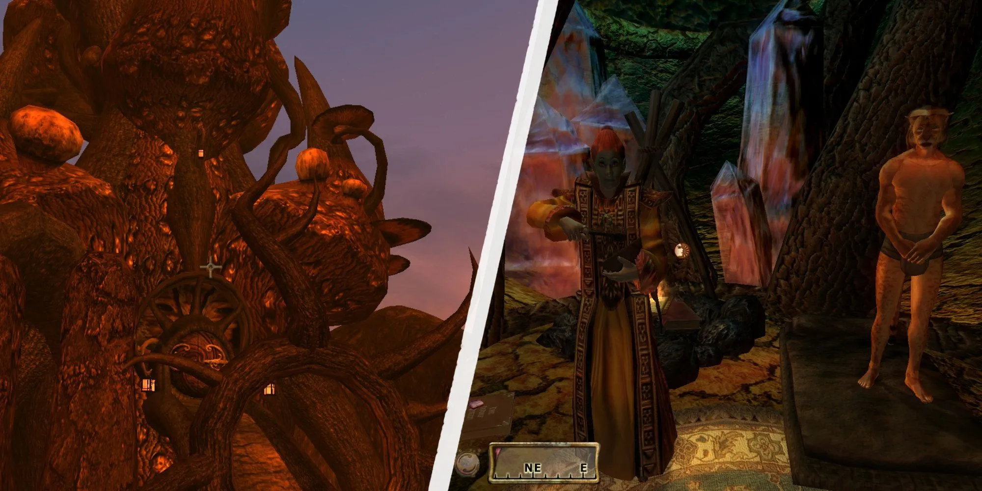 Nữ pháp sư Therana, một thành viên hội đồng Telvanni lập dị, tại tháp Tel Branora trong Morrowind