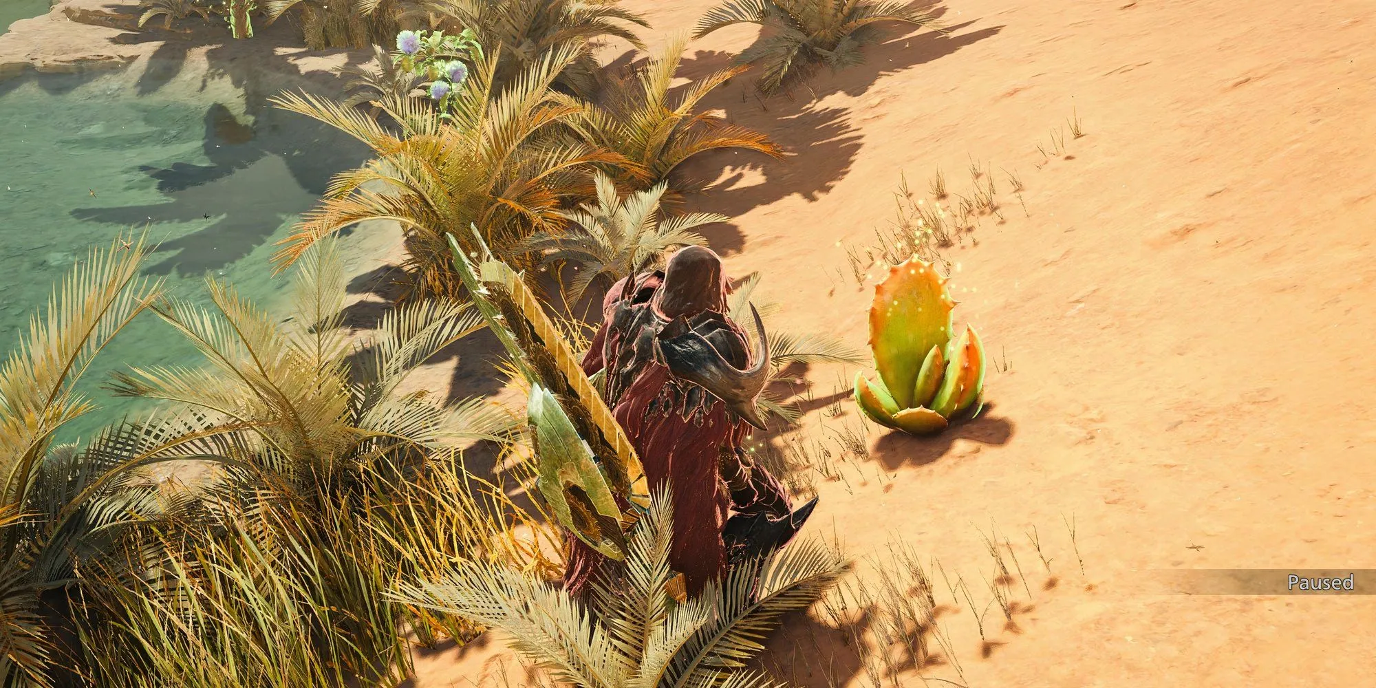 Vật phẩm Great Windward Aloe dùng để trao đổi Sinister Cloth trong Monster Hunter Wilds