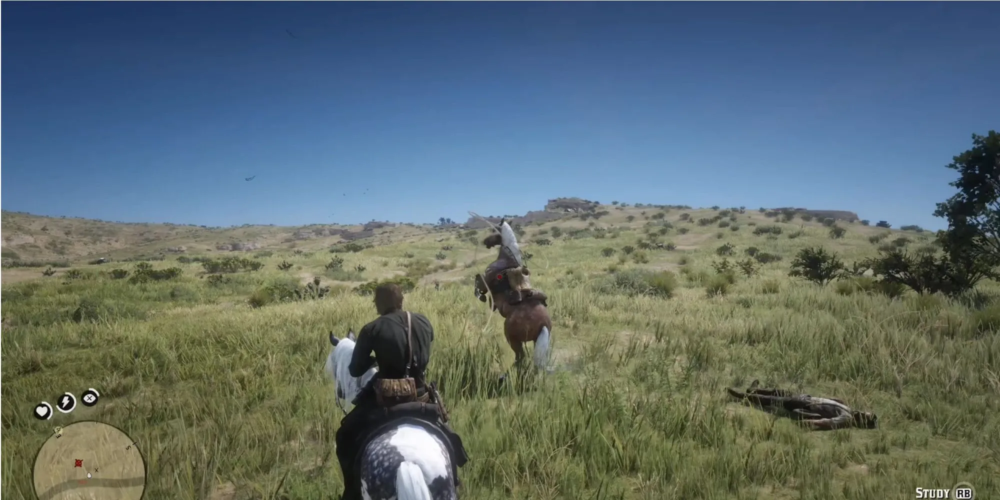 Cảnh game Red Dead Redemption 2 với hoạt động bắt ngựa