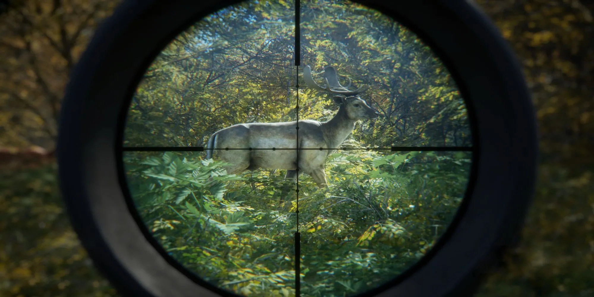 Môi trường rừng tuyết rơi chân thực thay đổi theo thời gian trong game săn bắn TheHunter Call of the Wild.