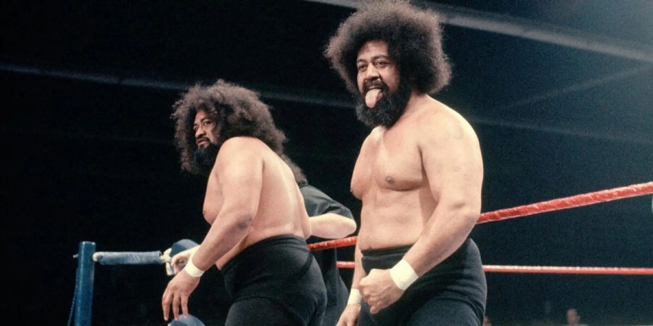 The Wild Samoans, Afa và Sika, đội tag team huyền thoại của WWE