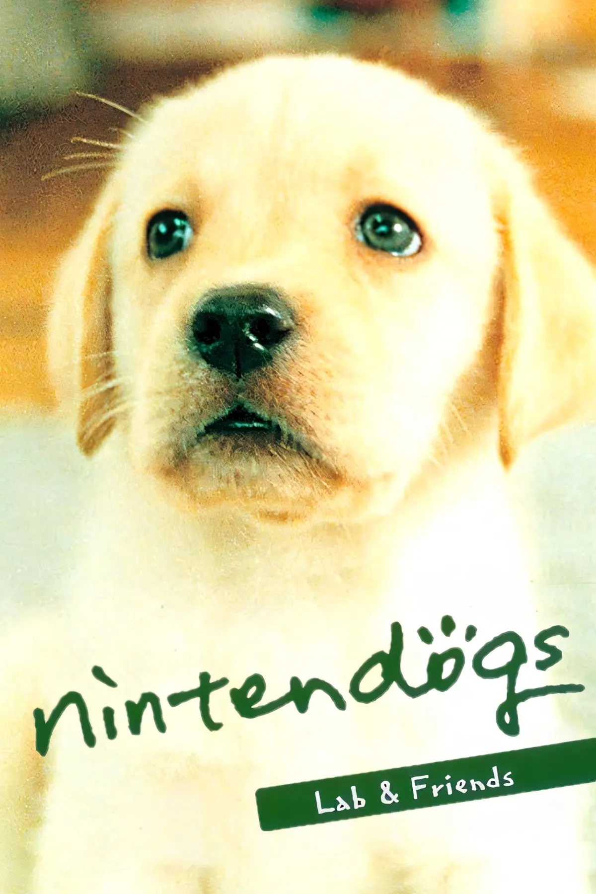Bìa nghệ thuật của Nintendogs, game nuôi thú ảo kinh điển trên Nintendo DS