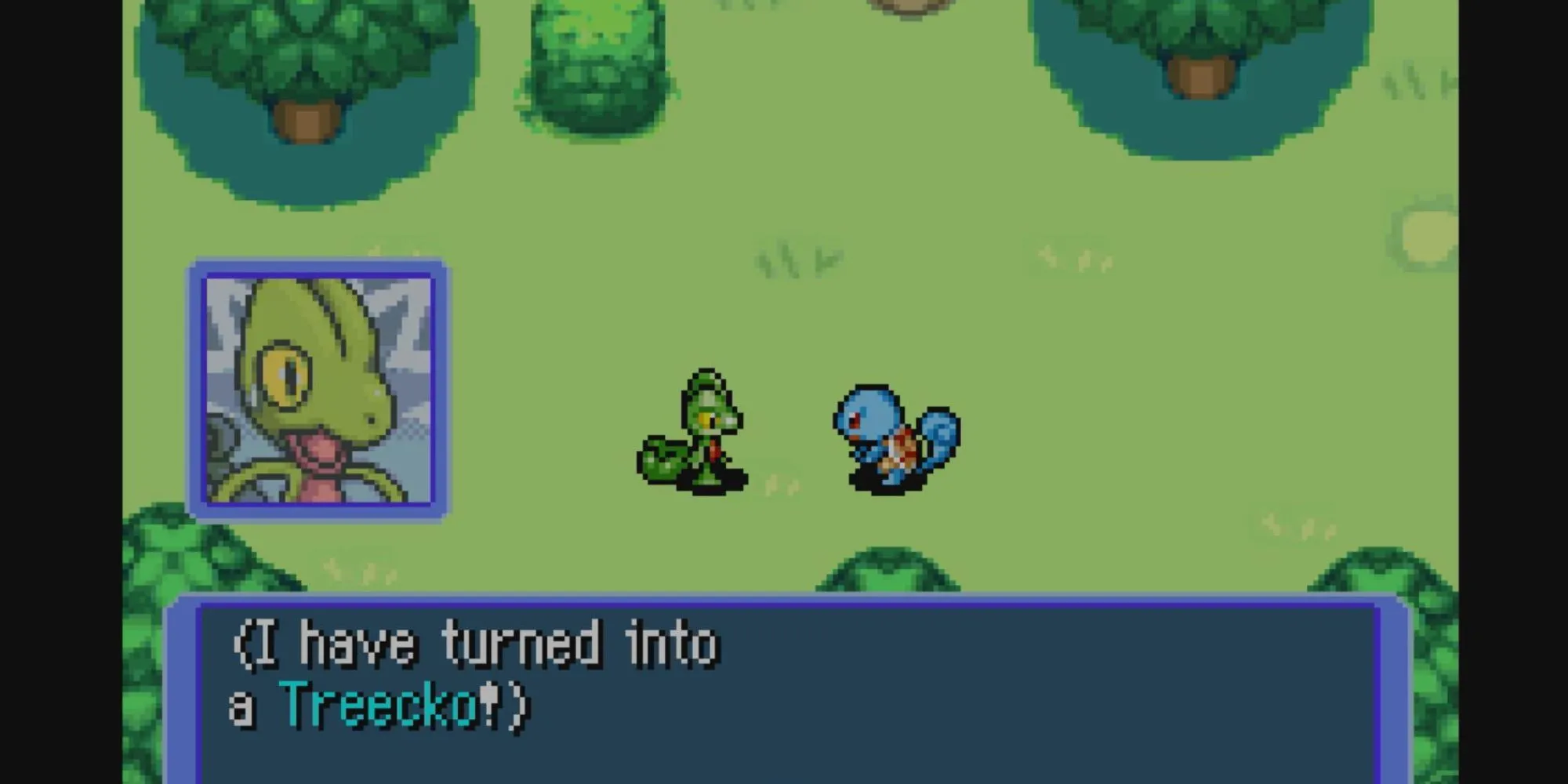 Một Treecko (nhân vật chính) và Squirtle trong khung hội thoại của Pokémon Mystery Dungeon: Red Rescue Team trên GBA.