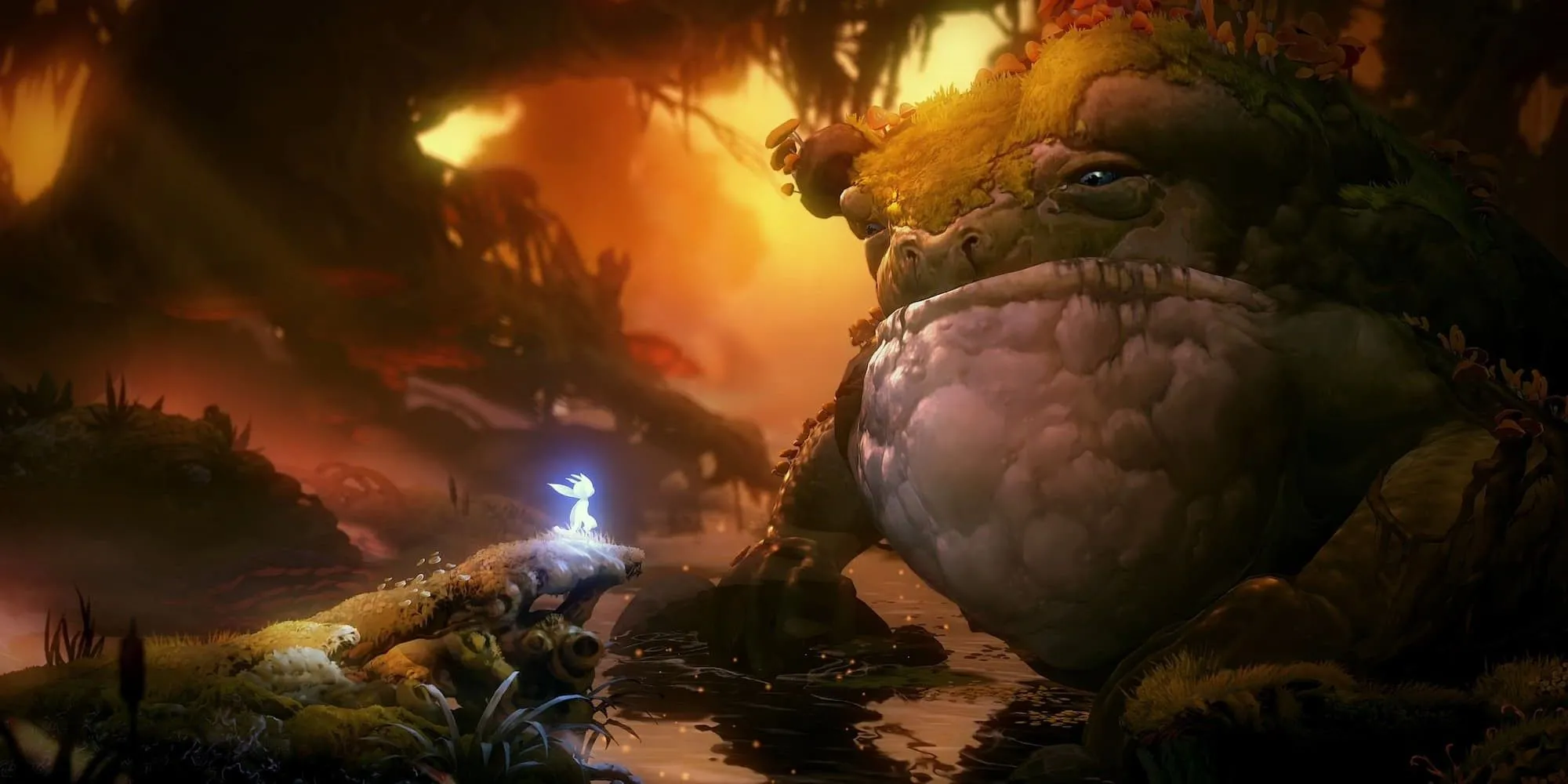 Góc cảnh lớn với ếch khổng lồ và nền môi trường trong Ori and the Will of the Wisps
